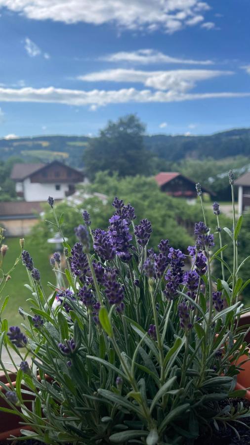 Ferienwohnung Alpseeliebe Immenstadt im Allgaeu Ngoại thất bức ảnh
